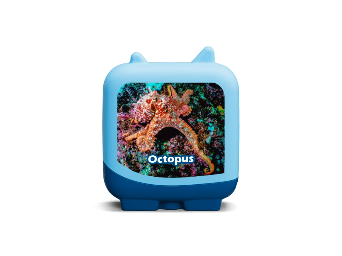tonies 4 Pack – Marine Life Pocket Tonies - Image 6