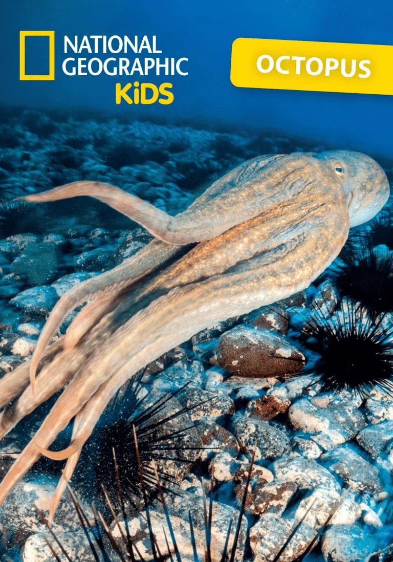 tonies National Geographic Kids: Octopus Tonie - Image 2