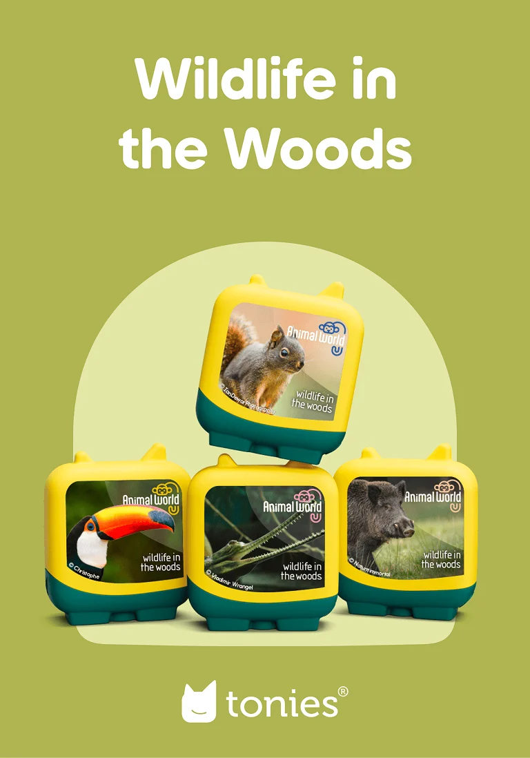 tonies 4 Pack – Animal World Wildlife in the Woods Pocket Tonies - Image 2